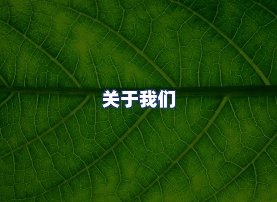 关于我们
